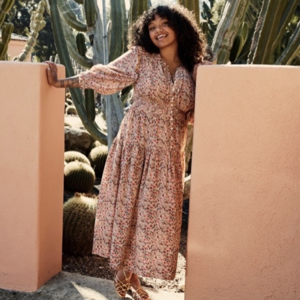 NWT DOEN MONET DRESS